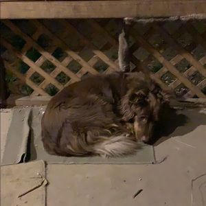 Meet your Posher, Pamela